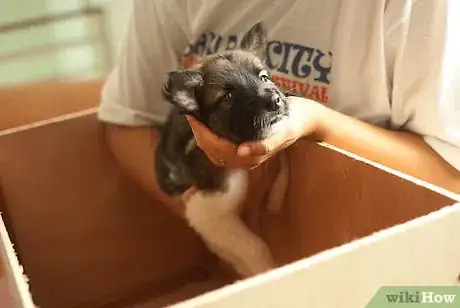 Image titled Potty Train a Puppy in an Apartment Step 1