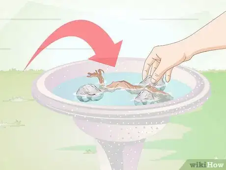 Image titled Prevent Small Worms in Birdbaths Step 1