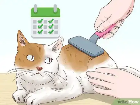 Image titled Help a Cat Cough Up a Hairball Step 20