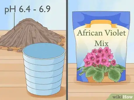 Image titled Grow African Violets Step 5