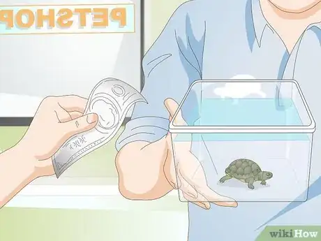 Image titled Keep a Turtle Healthy Step 9