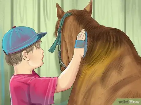 Image titled Use a Curry Comb on a Horse Step 10