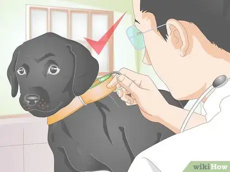 Image titled Make a Dog Collar Step 16