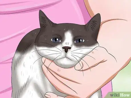 Image titled Give Your Cat Eye Drops Step 3