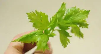 Use Celery