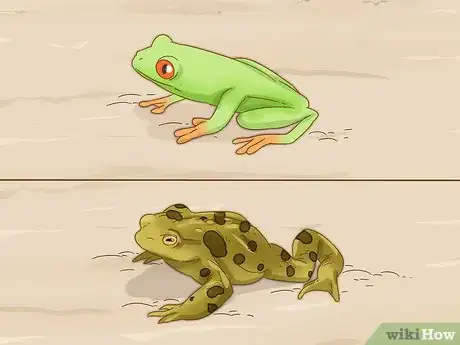 Image titled Tell the Difference Between a Frog and a Toad Step 7