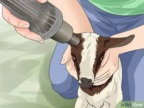 Image titled Start a Goat Farm Step 11