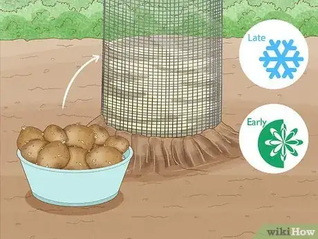 Image titled Grow Potatoes in a Wire Cage Step 6