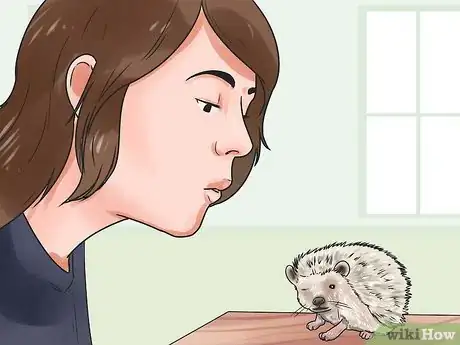 Image titled React when Your Hedgehog Bites You Step 4