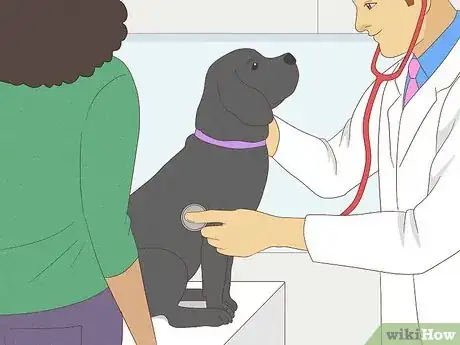 Image titled Perform CPR on a Dog Step 10