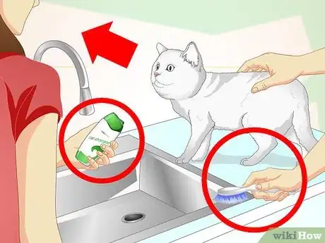 Image titled Inconspicuously Bathe a Cat Without Being Scratched Step 21