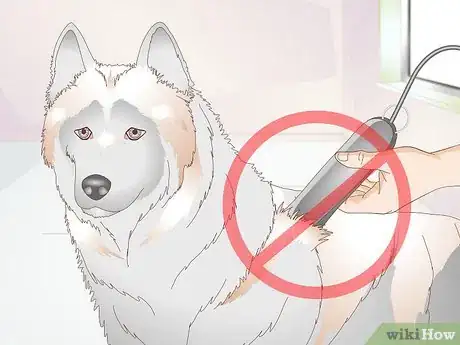 Image titled Brush Your Dog Step 17