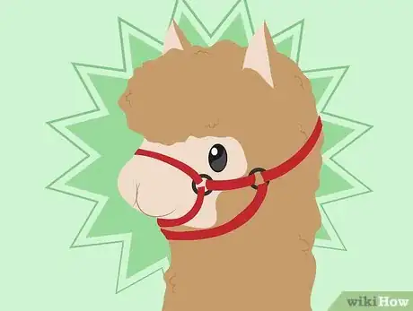 Image titled Buy Alpacas Step 7