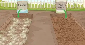 Test Soil pH