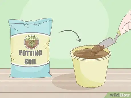 Image titled Grow a Plant Without Soil Step 7