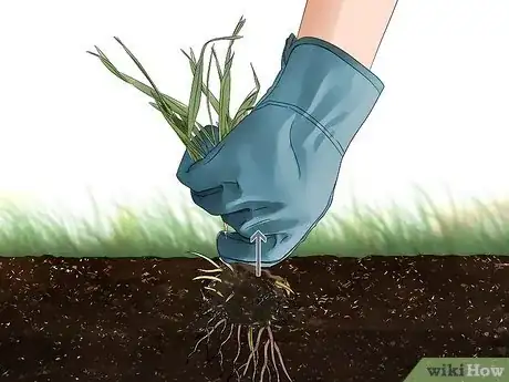 Image titled Get Rid of Crabgrass Step 2