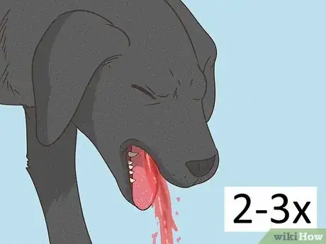 Image titled Tell if Your Dog Is Having a Medical Emergency Step 9