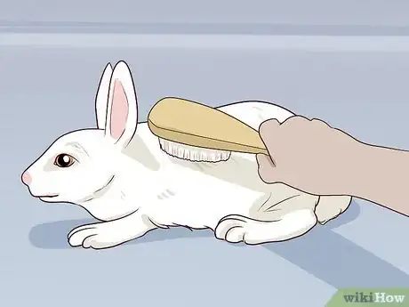 Image titled Carry a Rabbit Step 16