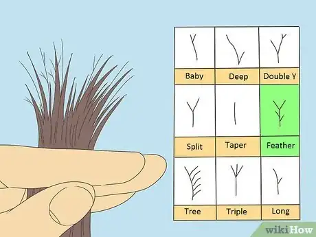 Image titled Detect Split Ends Step 6