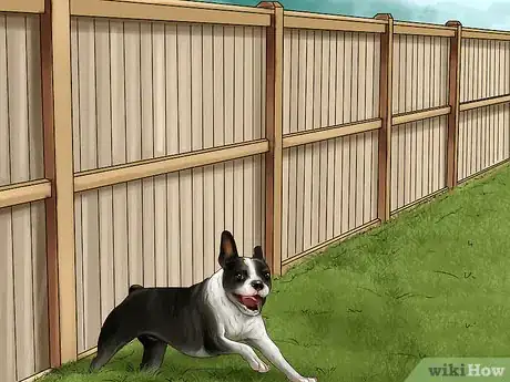 Image titled Keep Your Dog Under Control Outside Step 7