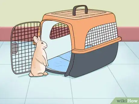 Image titled Carry a Rabbit Step 11