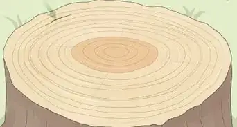 Count Tree Rings