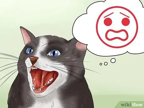 Image titled Calm Your Angry Cat Step 1