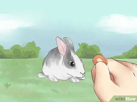 Image titled Catch a Pet Rabbit Step 3