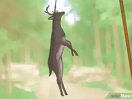 Image titled Dress a Deer Step 1