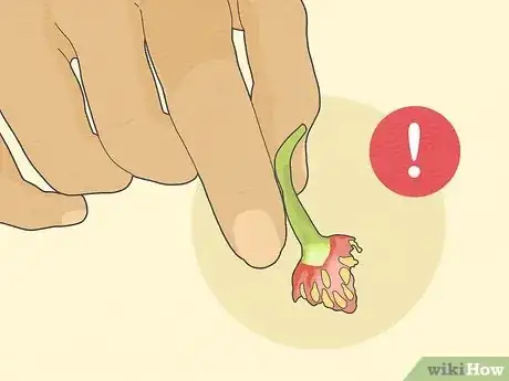 Image titled Safely Eat a Carolina Reaper Pepper Step 9