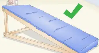 Build a Dog Ramp