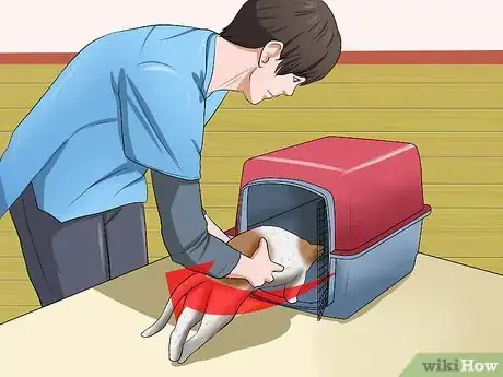 Image titled Take Your Cat to the Vet Step 10