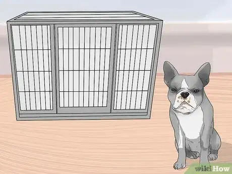 Image titled Train Boston Terriers Step 1