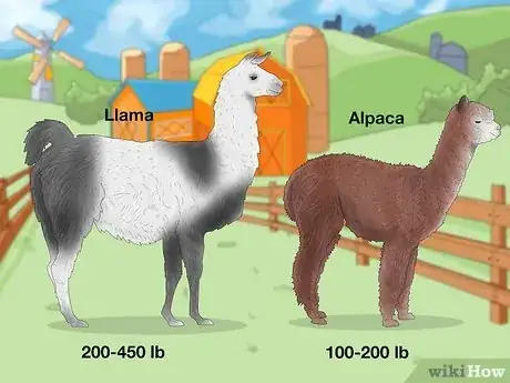 Image titled Llama vs Alpaca Step 2