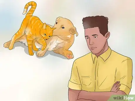 Image titled Make Your Dog Like Your Cat Step 21