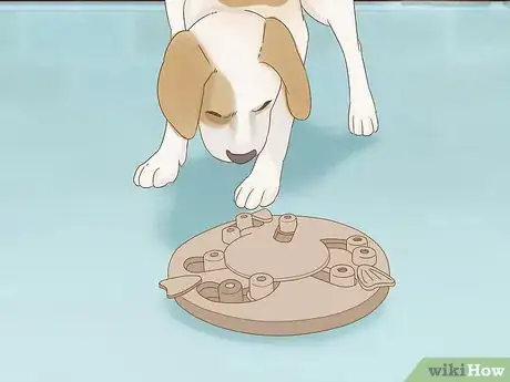 Image titled Reduce Anxiety in Dogs Step 12