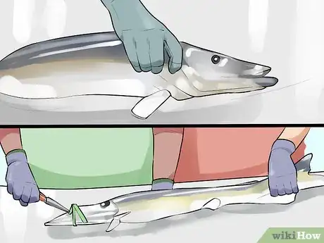 Image titled Catch a Muskie Step 14