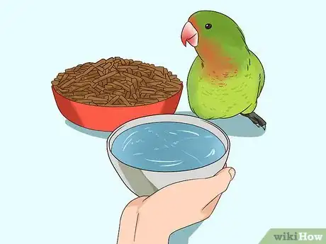 Image titled Treat Diarrhea in Lovebirds Step 7