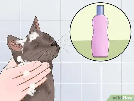 Image titled Bathe Your Cat With a Damp Towel Step 11