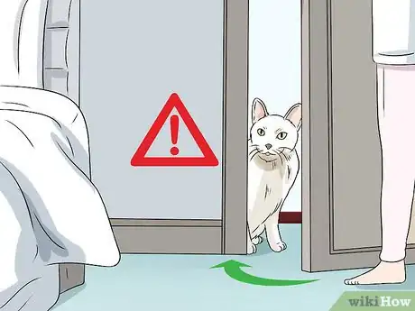 Image titled Keep a Cat if You Are Allergic to Cats Step 1