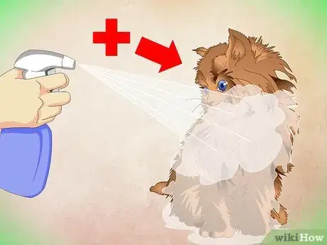 Image titled Make a Kitten Like Water Step 12