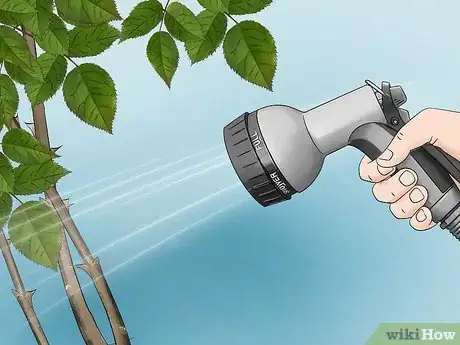 Image titled Get Rid of All Insects in Your Yard Step 10