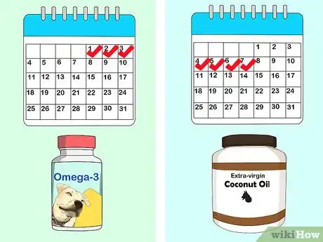 Image titled Use Coconut Oil for Flea and Skin Treatment on Dogs Step 3