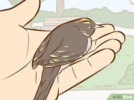 Image titled Help a Baby Bird That Has Fallen Out of a Nest Step 3