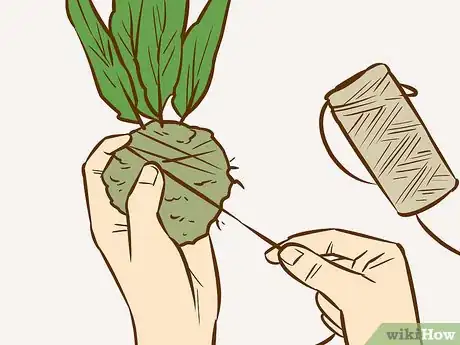 Image titled Make a Kokedama Step 8