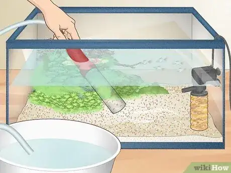 Image titled Clean Aquarium Filter Without Killing Bacteria Step 2