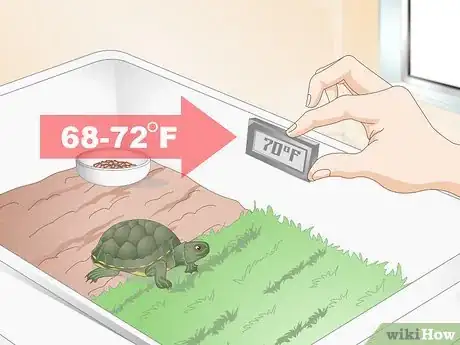 Image titled Feed Your Turtle if It is Refusing to Eat Step 1