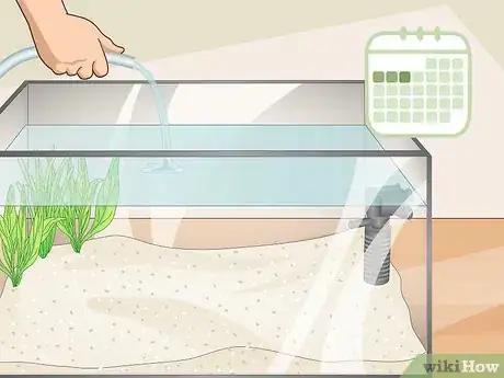 Image titled Reduce Chlorine in an Aquarium Step 9