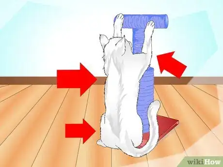 Image titled Get Your Cat to Use a Scratching Post Step 11