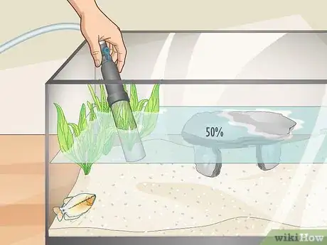 Image titled Reduce Chlorine in an Aquarium Step 5